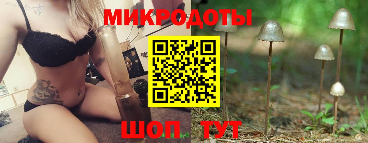 Псилоцибиновые грибы Psilocybine cubensis Лыткарино